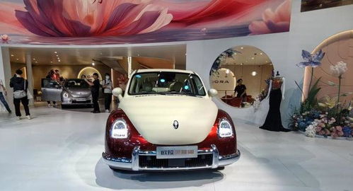 長城汽車大動作 趙永坡接管歐拉，能否再創(chuàng)銷量神話？