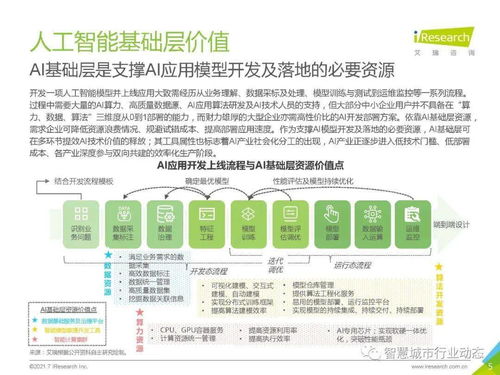 2021年中國人工智能基礎(chǔ)層行業(yè)報告 深入解析人工智能基礎(chǔ)軟件開發(fā)