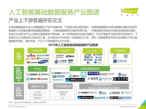2019年中國人工智能基礎(chǔ)數(shù)據(jù)服務(wù)行業(yè)白皮書